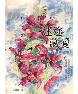 書封 迷途藏愛：未來在不在